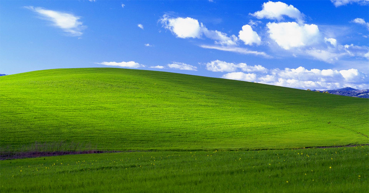 The Photo That Made Millions Experience "Bliss"