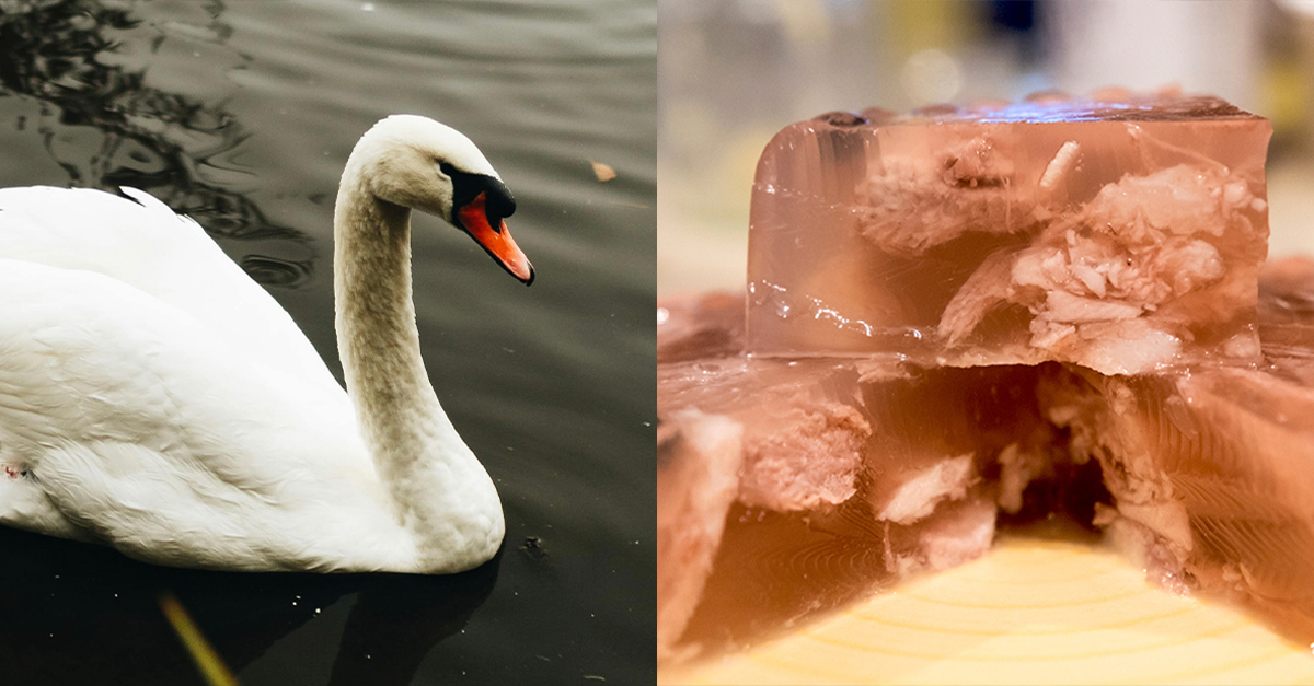 Nasty Meals Americans Loved In The 18th Century
