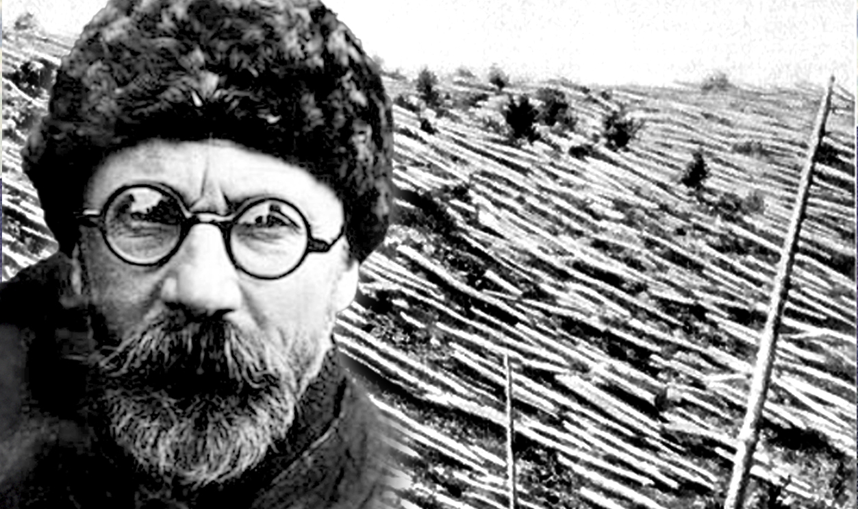 The Tunguska Event