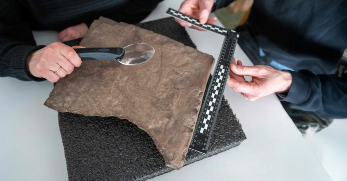 Archaeologists discovered the world's oldest runestone, carved by the ancient forefathers of the Vikings.