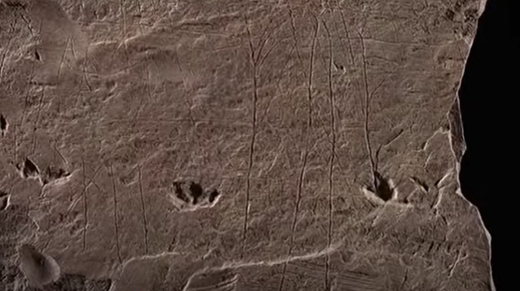 Norway Rune History Rocks Archaeologists in Norway discovered the world's oldest runestone ...